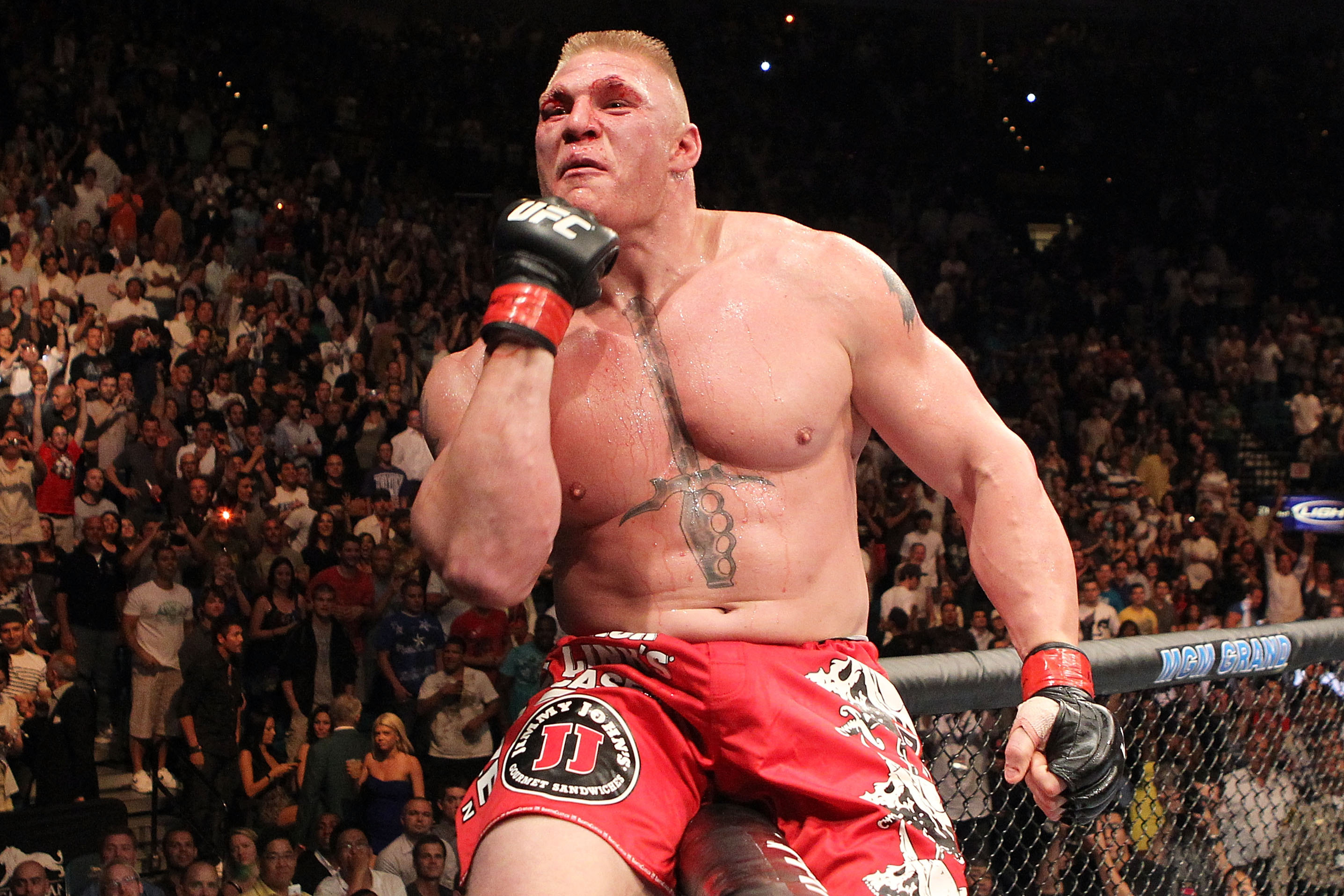 Brock Lesnar crossed over from the WWE to UFC