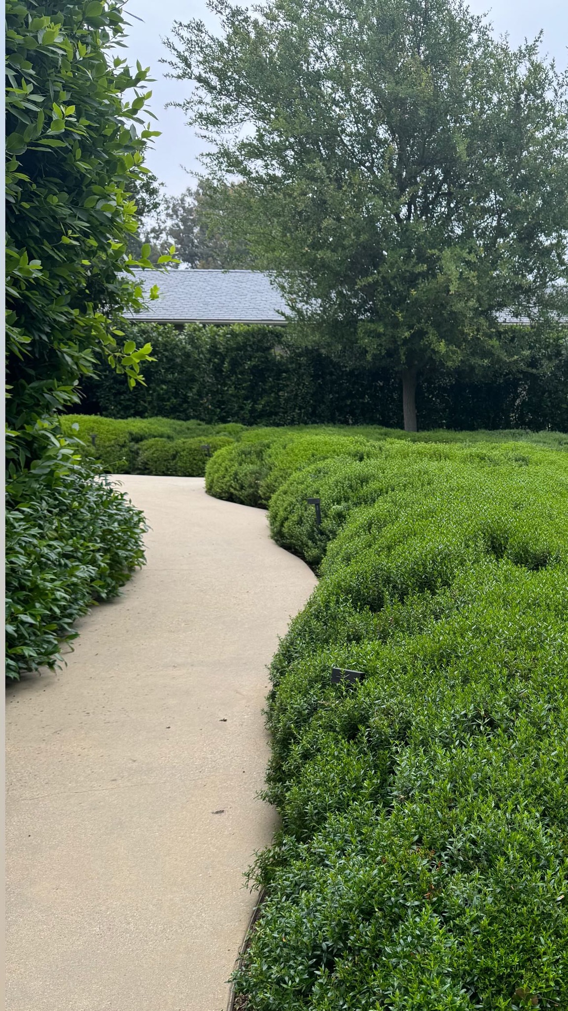 Kim shared a photo of the manicured bushes and lush trees on her path