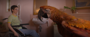 A woman in a wheelchair sits in a room with an orange macaw.
