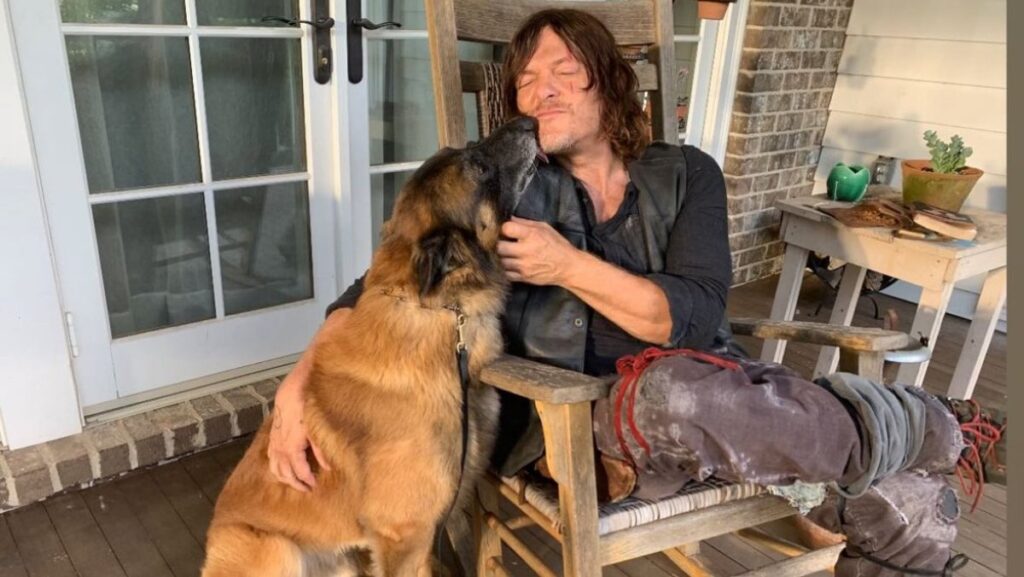 Seven The Walking Dead Dog has passed away, the dog has sadly died