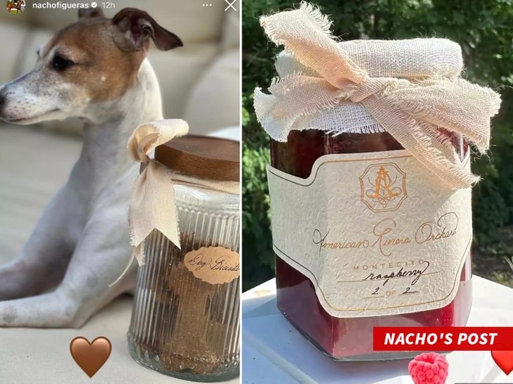 Nacho's Post about rasberry dog treats