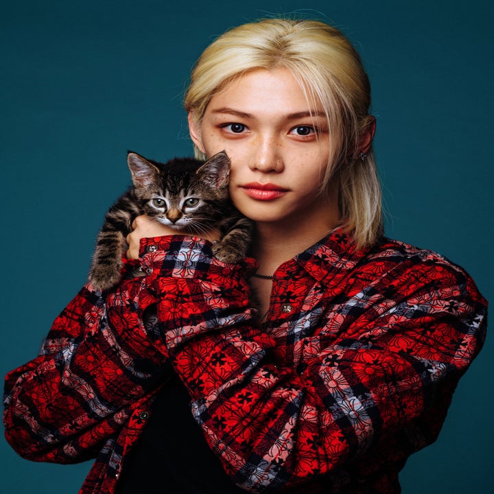 Felix from Stray Kids holds a small kitten, both facing the camera. Felix wears a patterned red flannel shirt over a black top