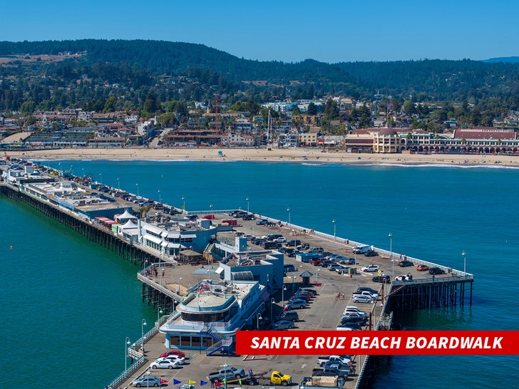 santa cruz beach boardwalk