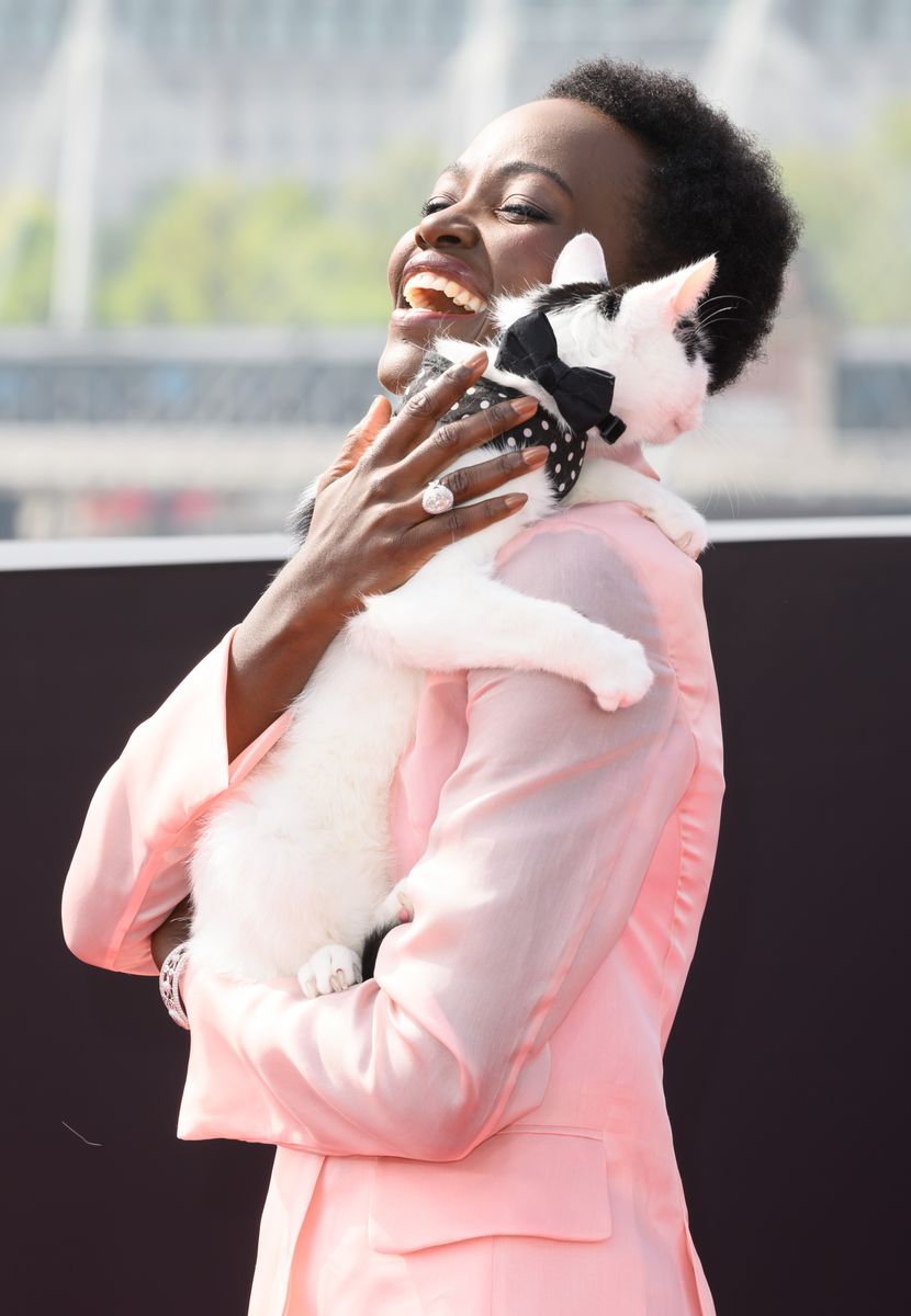 Schnitzel, the cat, and Lupita Nyong'o attend the photocall for "A Quiet Place: Day One" at IET Building: Savoy Place on May 01, 2024, in London, England. 