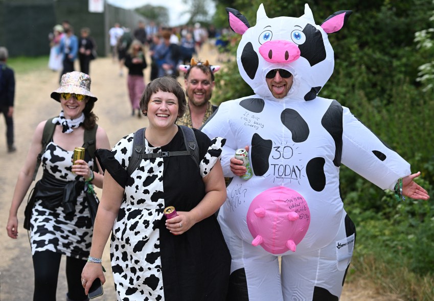 Group of festivalgoers dressed in cow-themed outfits at the Glastonbury festival, Worthy Farm, Pilton, Somerset, England, on June 28, 2024.