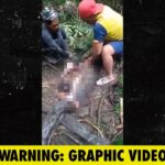 20-Foot Python Swallows a Woman Whole in Indonesian Forest