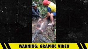 20-Foot Python Swallows a Woman Whole in Indonesian Forest