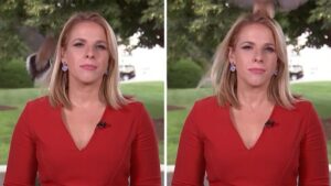 Bold Bird Lands on Reporter's Head Just Before Live Shot Outside White House