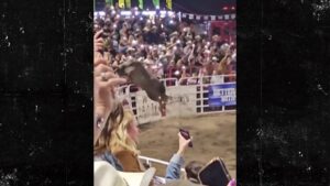 Bull Goes on Wild Rampage at Oregon Rodeo, Injures 4 People