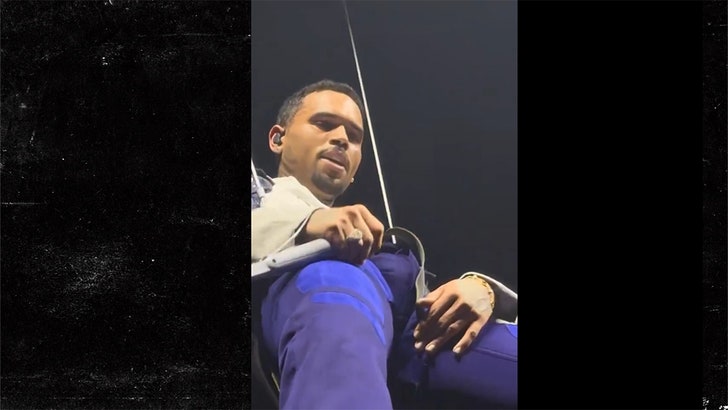 Chris Brown's Bulge Goes Viral After Fans Spot Huge Imprint at Concert