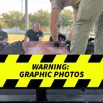 Florida Gator Eats Woman -- The Gruesome Photo