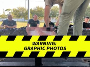 Florida Gator Eats Woman -- The Gruesome Photo