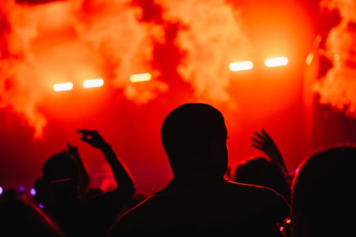 Silhouettes at a live show
