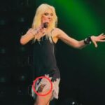 Singer Taylor Momsen didn't realise the bat was on her leg until the audience alerted her