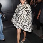 Kylie Jenner stunned in a leopard-print ensemble while dining with friends