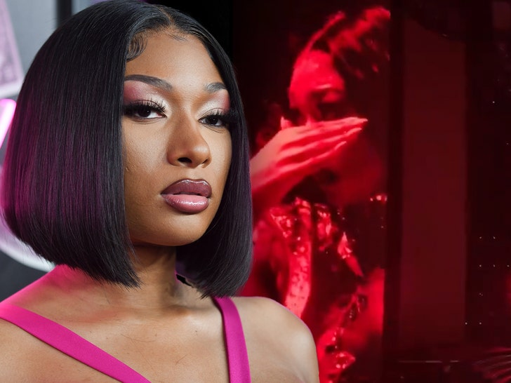 Megan Thee Stallion Breaks Down in Tears During Tampa Concert