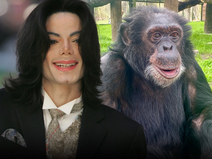 michael jackson bubbles chimpanzee main