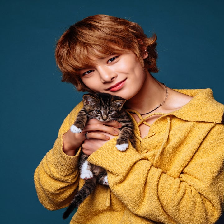 I.N from Stray Kids wearing a cozy, textured sweater smiles while holding a small tabby kitten