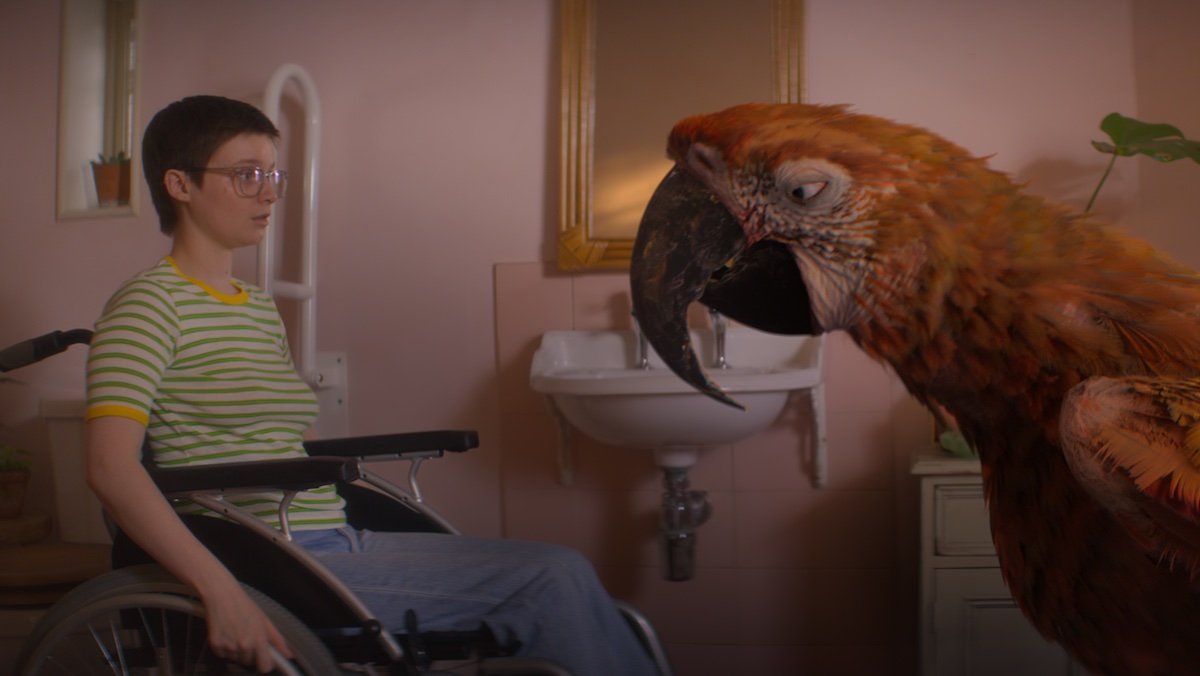 A girl with a shaved head in a wheelchair opposite a giant bird in Tuesday