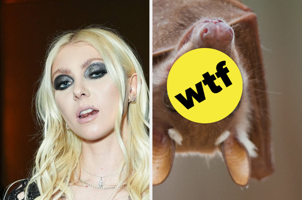 Taylor Momsen Was Bitten By An Actual Bat Onstage During A Pretty Reckless Performance