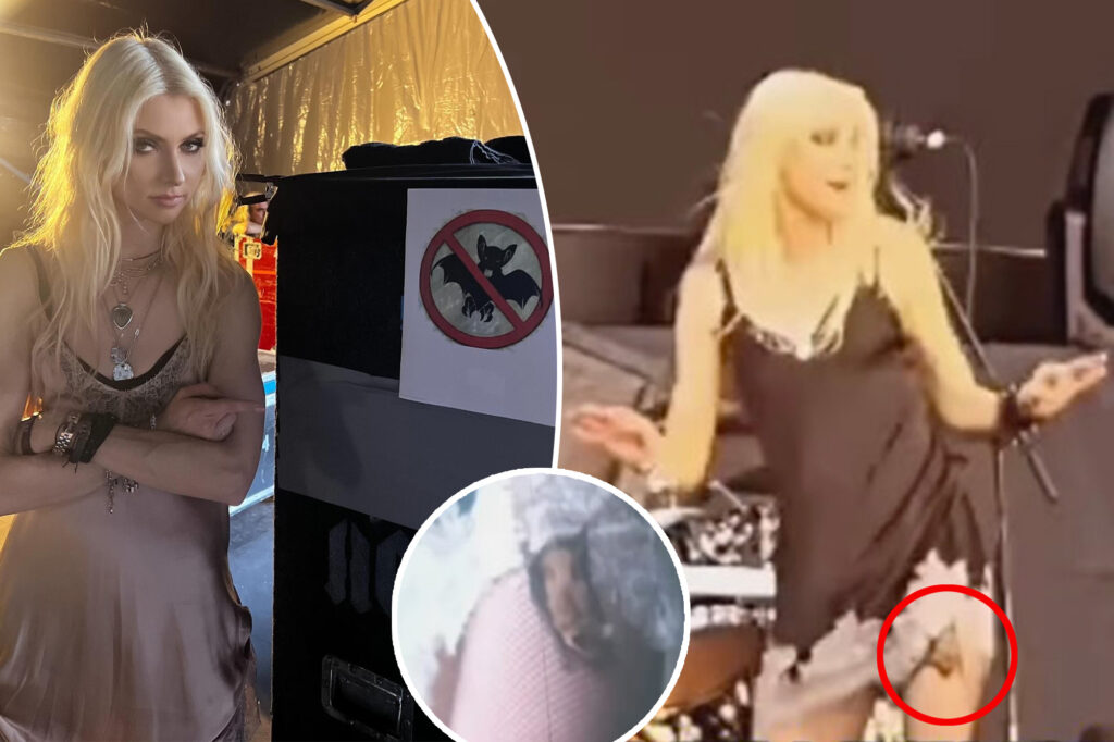 Taylor Momsen bitten by a bat during concert, needs rabies shots