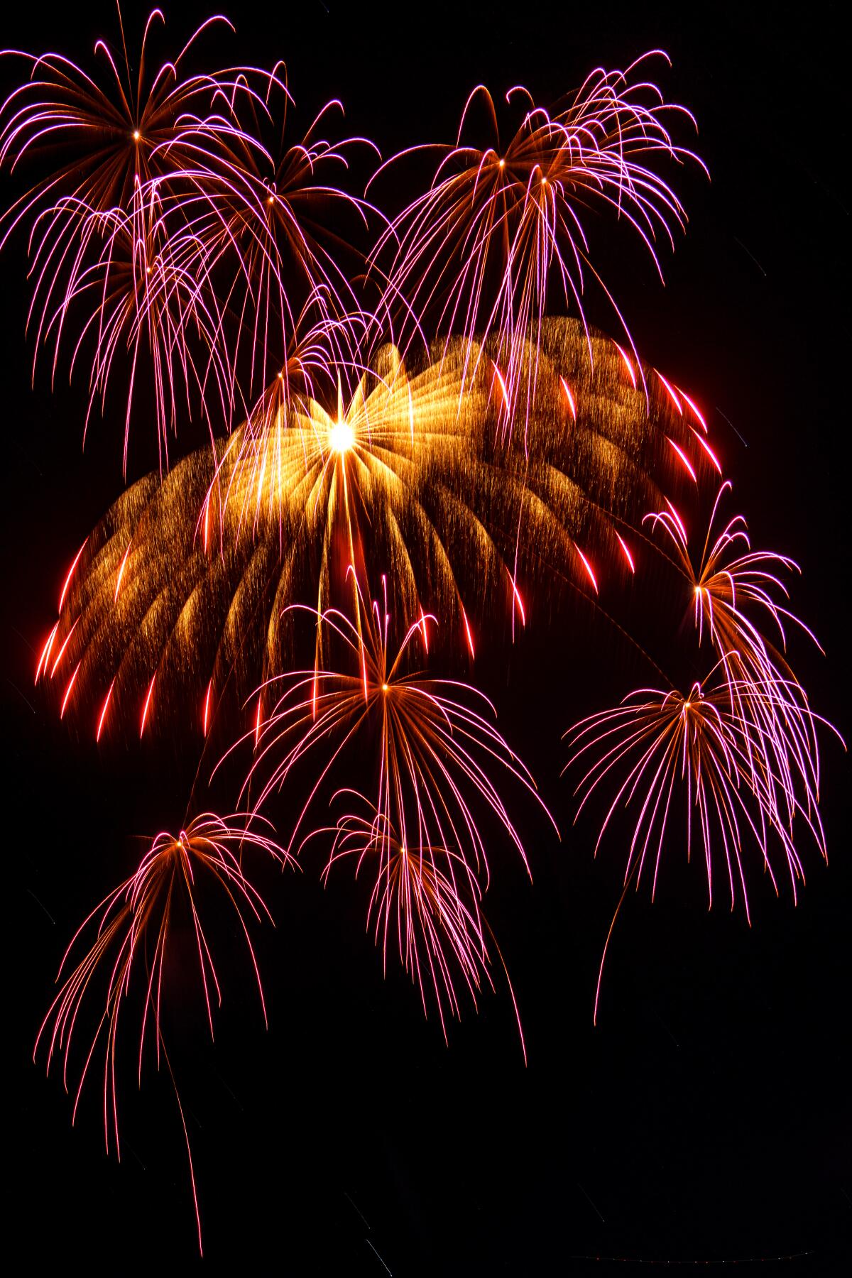 Multiple purple and gold fireworks explode in the night.
