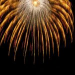 A large gold firework explodes in the night.