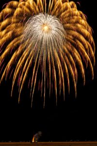 A large gold firework explodes in the night.