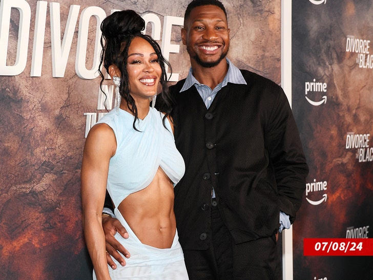 Jonathan Majors and meagan good divorce in the black premiere