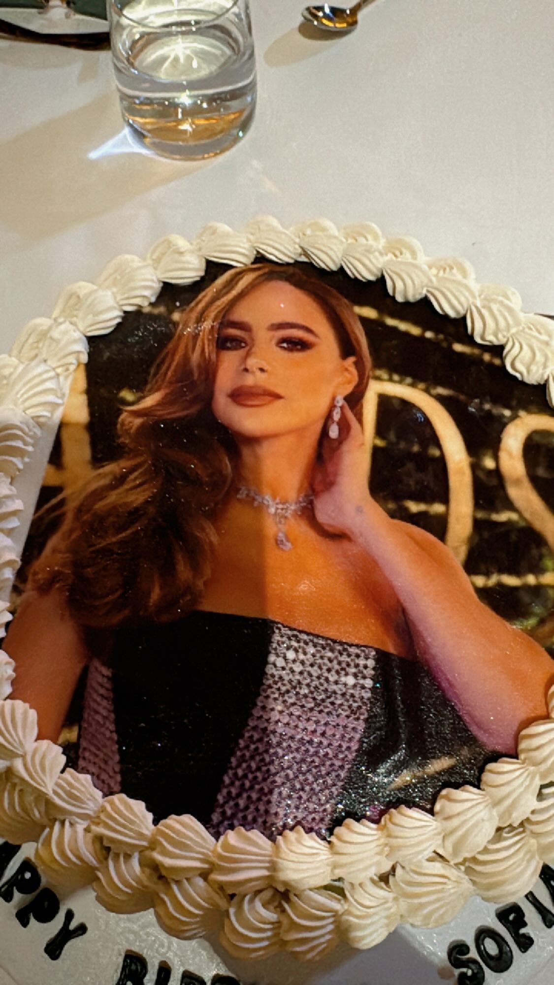 One of Sofia Vergara's birthday cakes included a photo of the actress atop the dessert