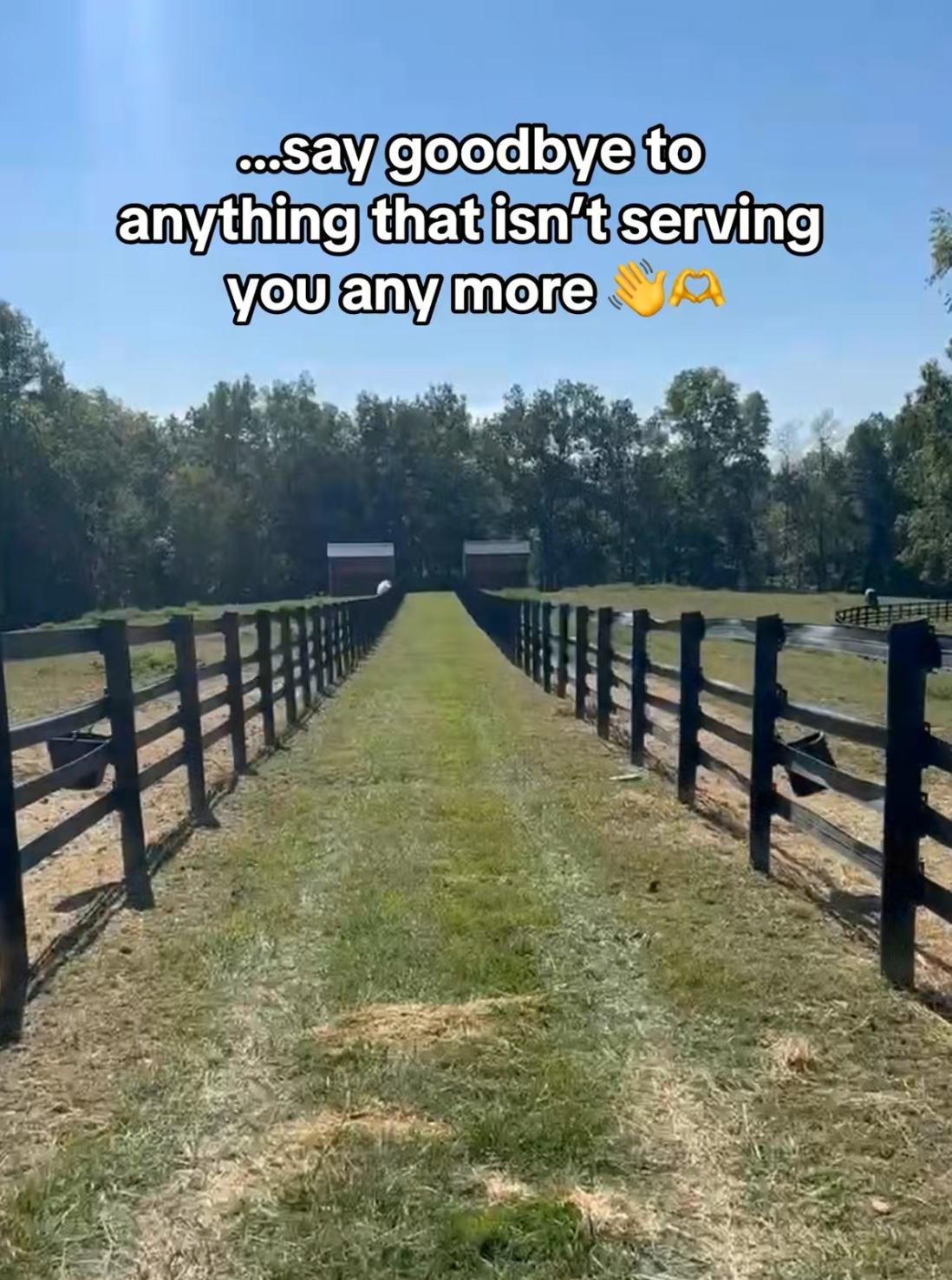 Miranda Lambert shares an image of an empty grass path in her new TikTok centered around 'moving on'