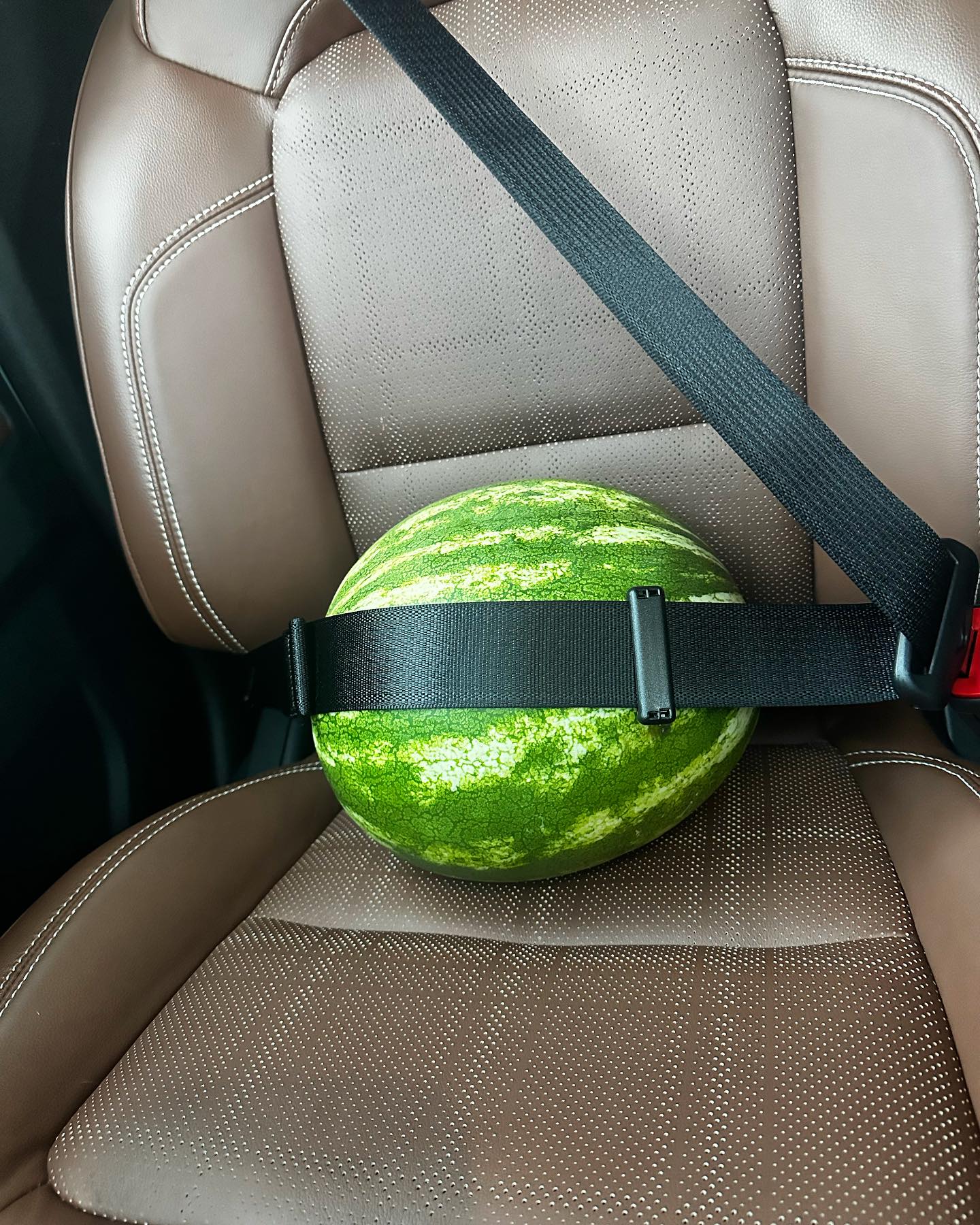 Alexandra seemed to hint at her pregnancy with an Instagram post that showed a watermelon belted in her backseat