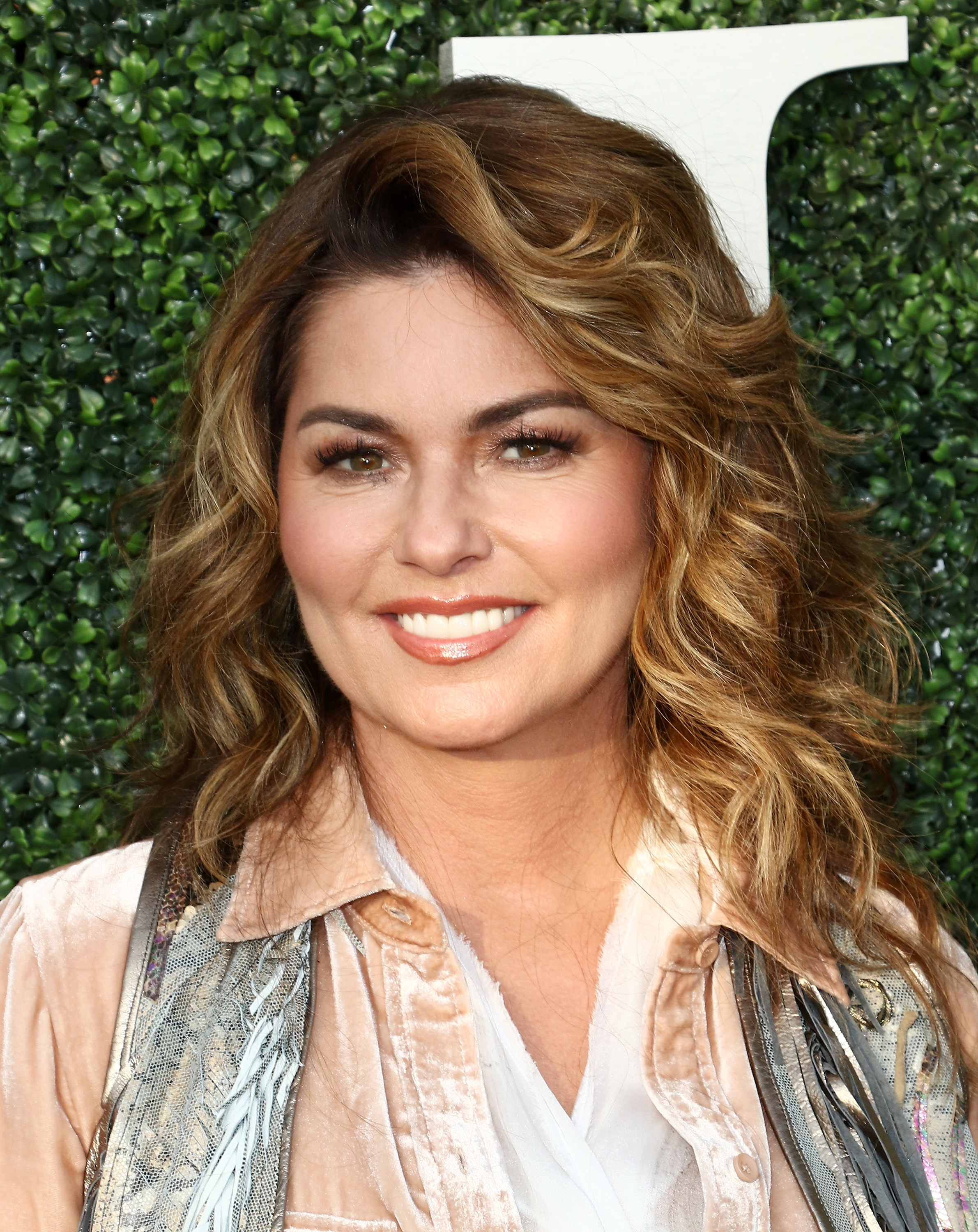 Shania Twain, pictured in 2017, attends the 17th Annual USTA Foundation Opening Night Gala