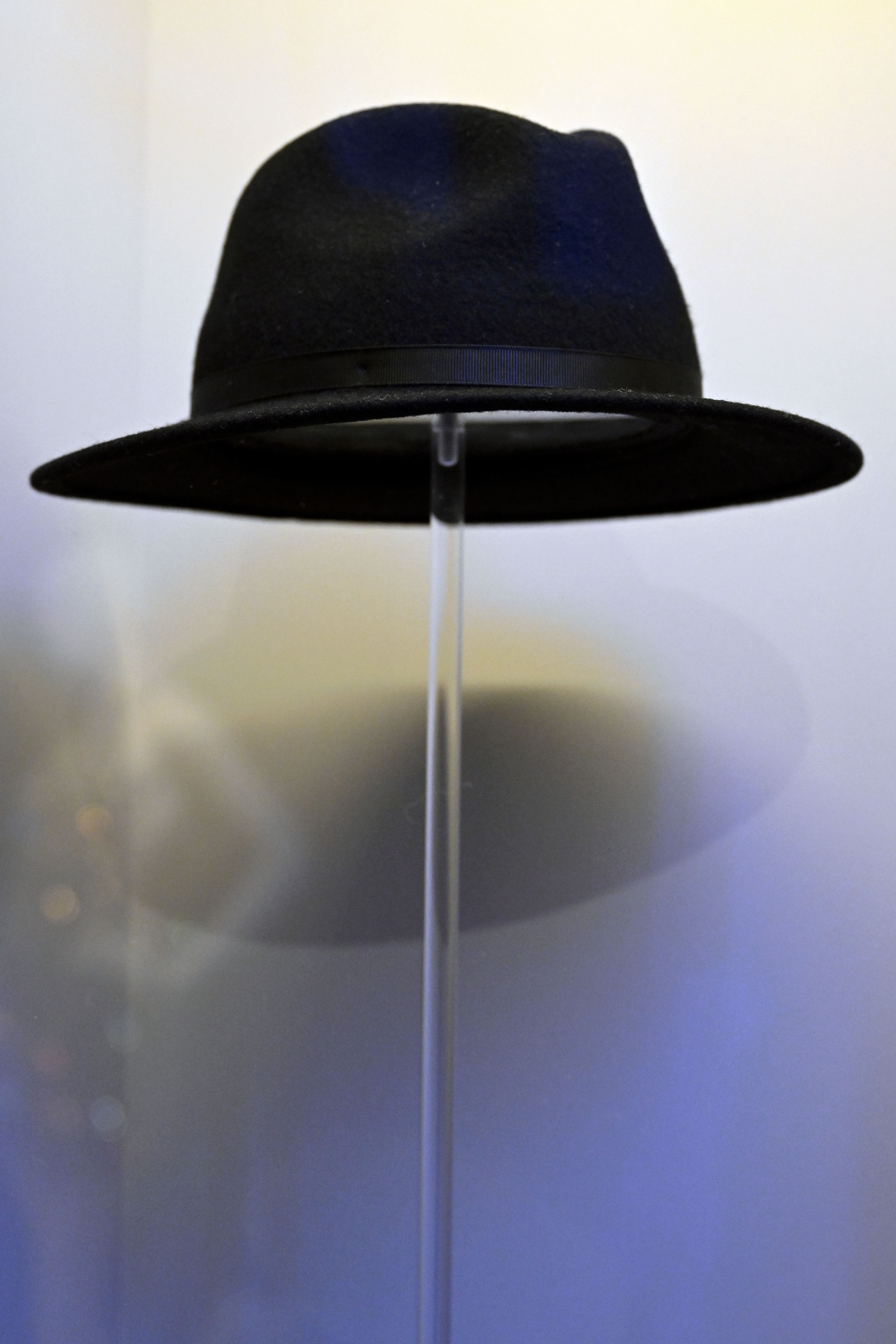 Fedora from 22 video and Eras tour, 2013 & 2024