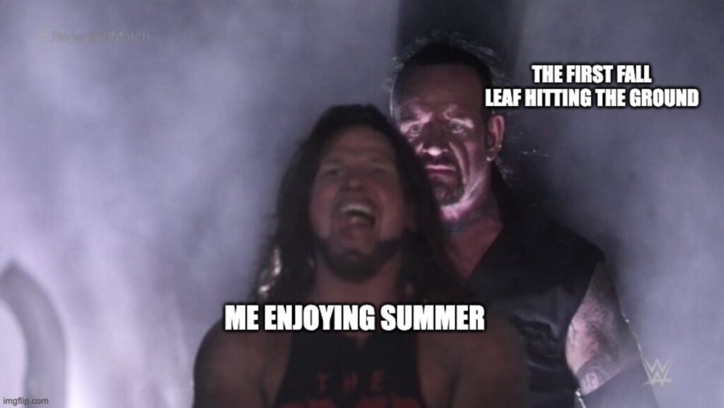 funny new meme about enjoying Summer