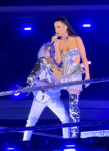 Katy Perry stunned in a silver corset while performing in Italy
