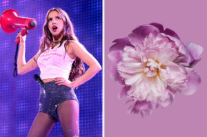 Pick Some Beautiful Flowers And I'll Guess Which Pop Star You Love With 100% Accuracy!
