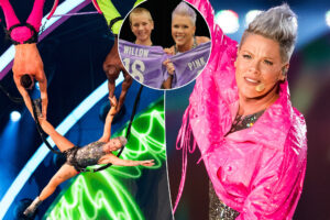 Pink forced to abruptly cancel Switzerland show: 'Unable to continue'