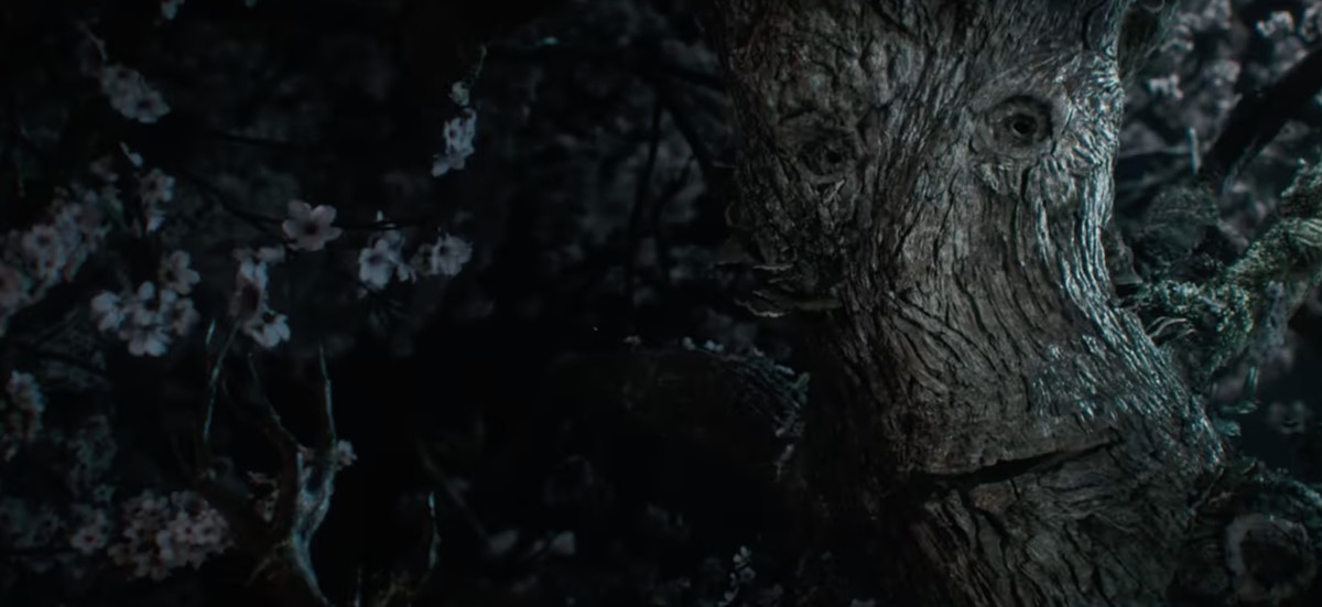 An entwife in The Lord of the Rings: The Rings of Power, with pale blossoms in her canopy, and two knothole eyes on her rough bark face.