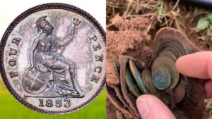 TikToker hits the jackpot finding rare coins worth over $10K