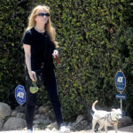 Risky Business star Rebecca De Mornay was spotted on a rare outing in Los Angeles, California earlier this month