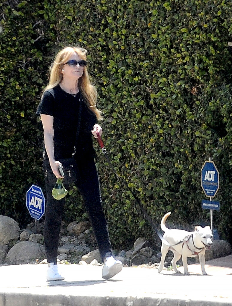 Risky Business star Rebecca De Mornay was spotted on a rare outing in Los Angeles, California earlier this month