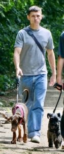 Tom Holland was spotted taking his new security puppy for a walk