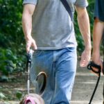 Tom Holland was spotted taking his new security puppy for a walk