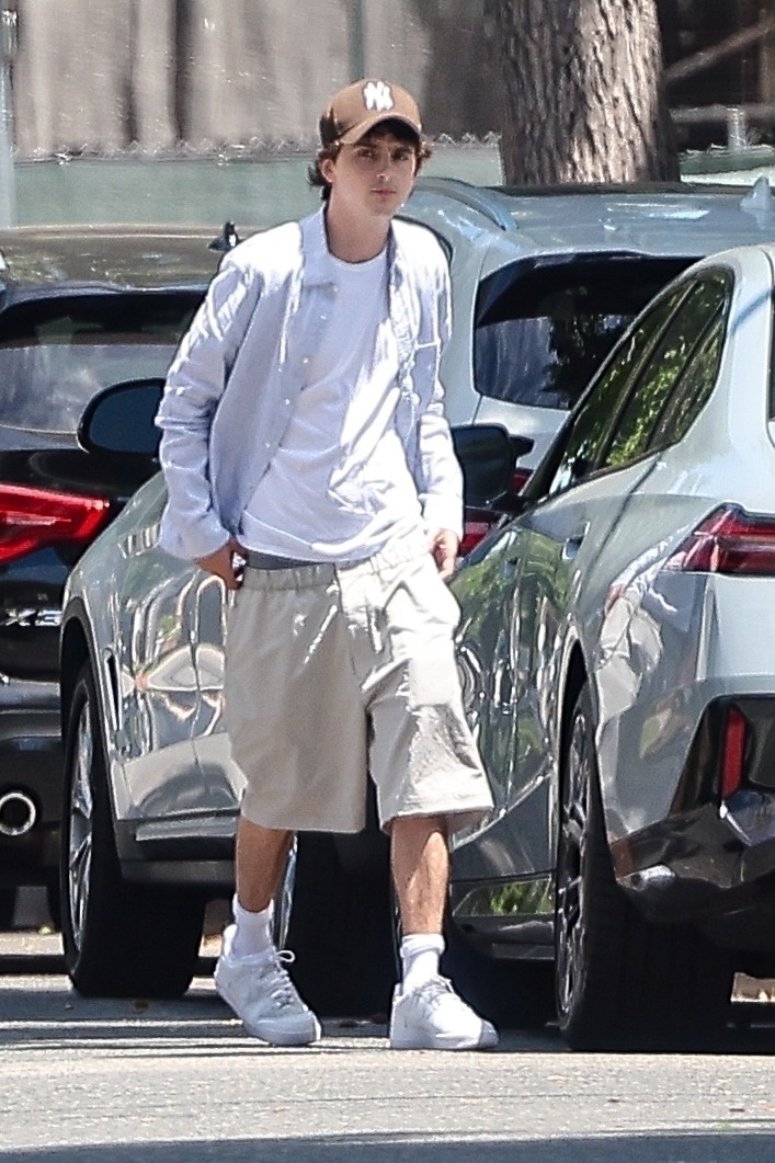 Timothée Chalamet in Los Angeles, California