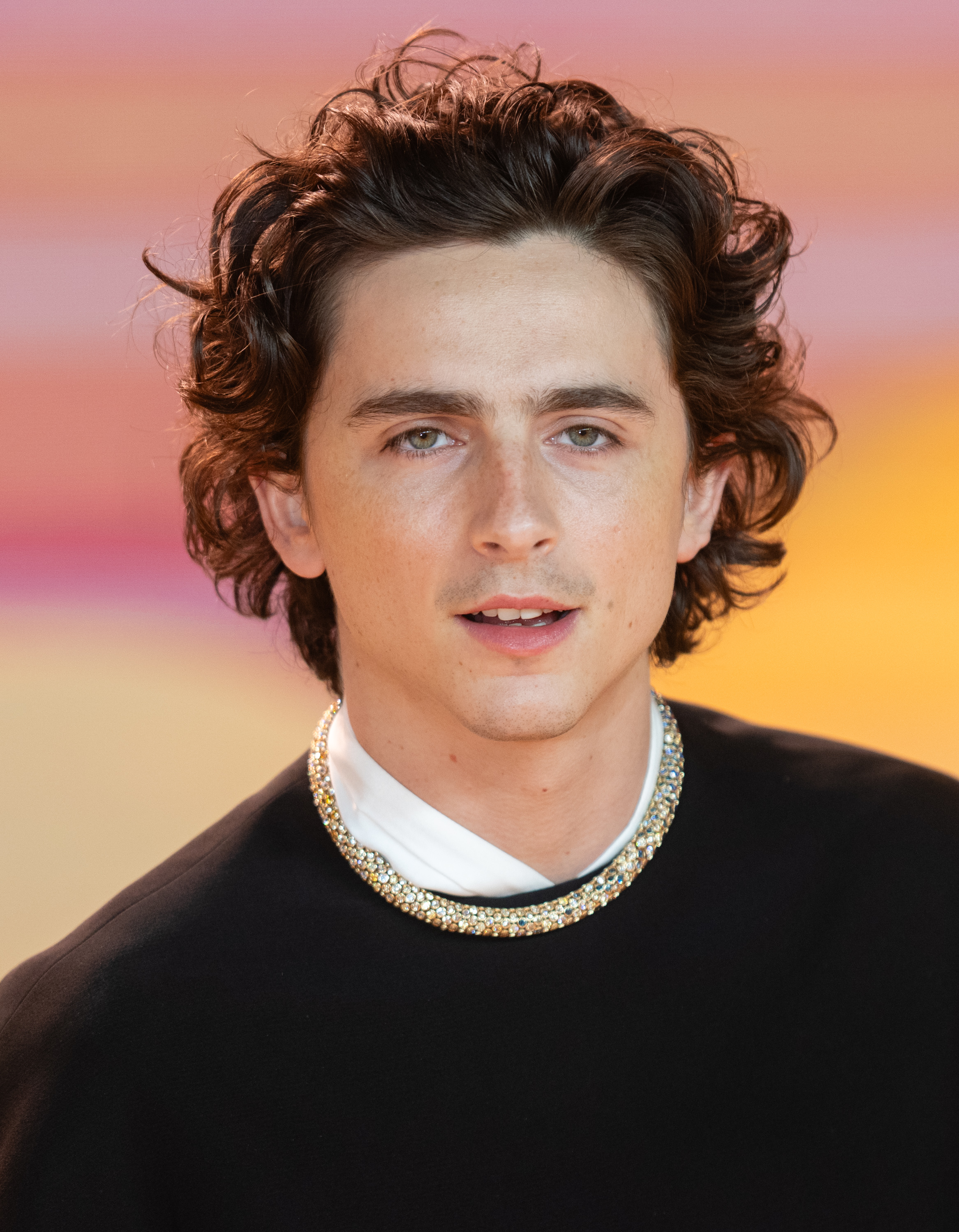 Timothée Chalamet at the premiere of Dune: Part Two on February 15, 2024, in London, England