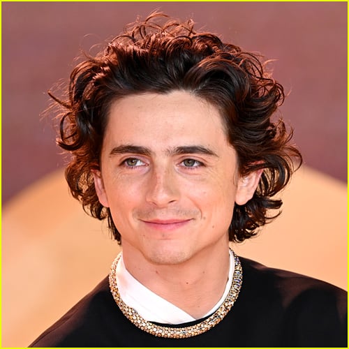 Timothee Chalamet photo