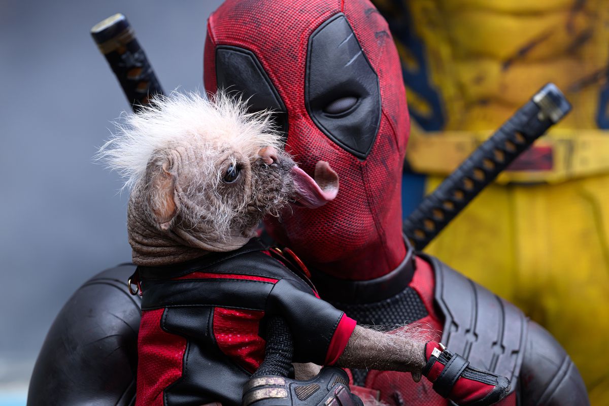 Deadpool cuddling Dogpool in Deadpool & Wolverine