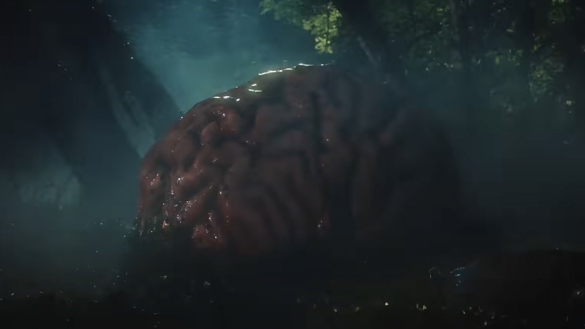 A giant brain in a dark forest at night from Rumours