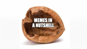 memes in a nutshell